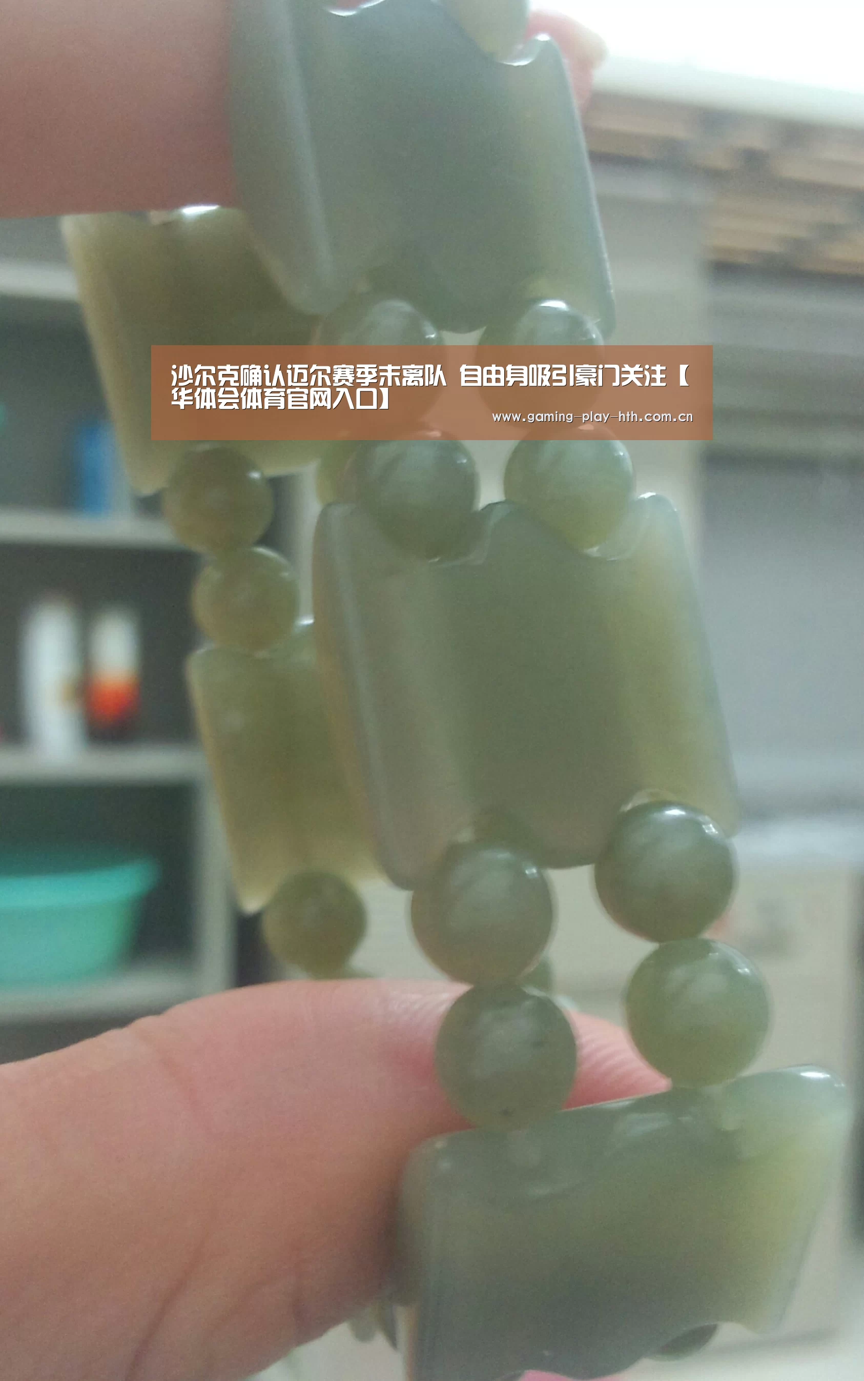 华体会体育官网入口