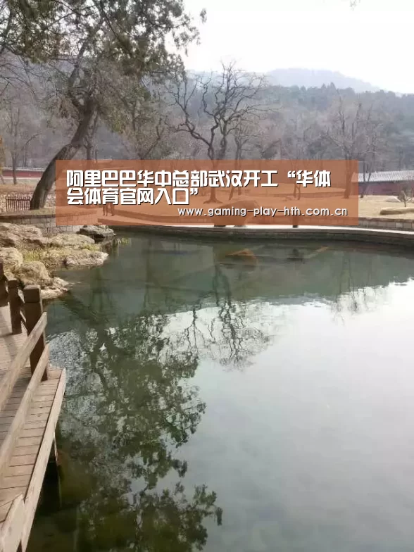 华体会体育官网入口