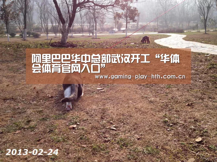 华体会体育官方平台