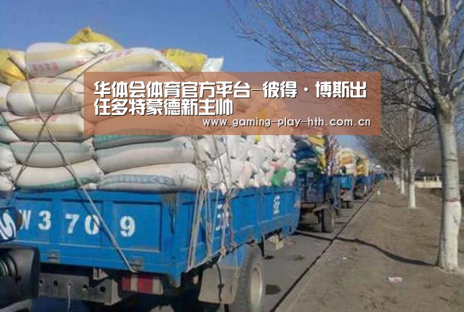 华体会体育APP下载官网