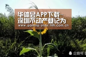 华体会APP下载