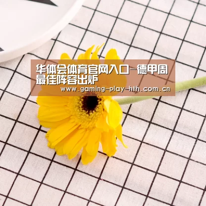 华体会体育官网入口-德甲周最佳阵容出炉(图3) 华体会体育官方平台